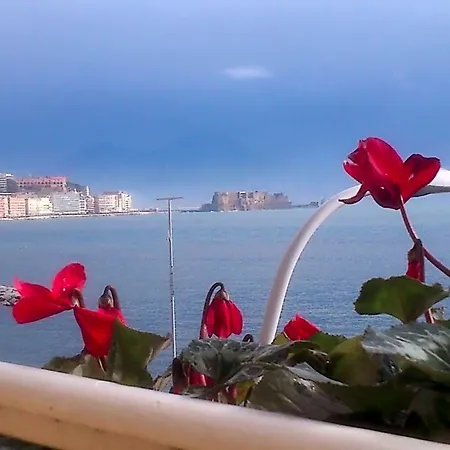 Bed & Breakfast Platamon 4*