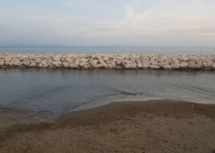 B&B Platamon 나폴리